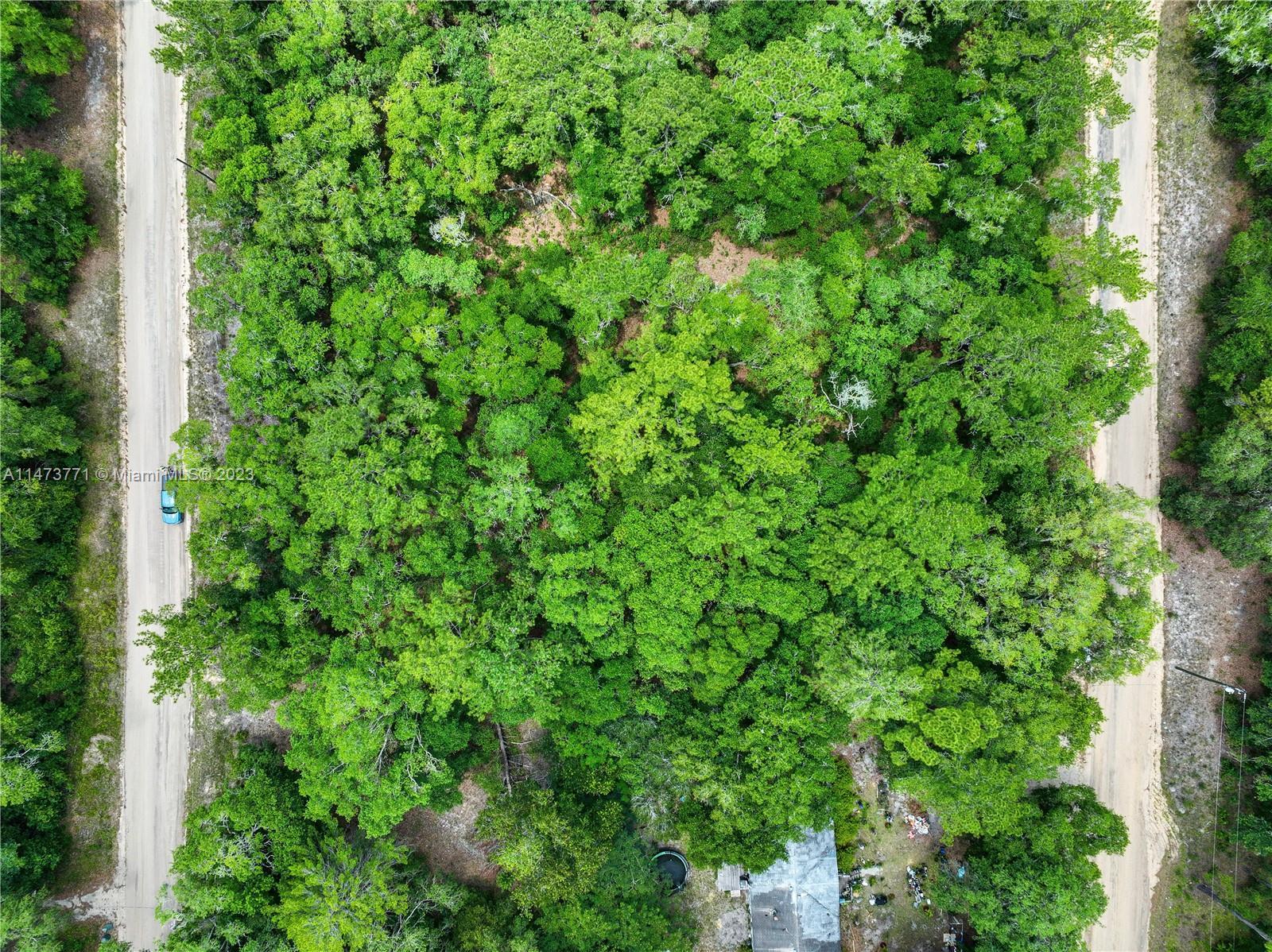217 Amsterdam St, Other City - In The State Of Florida FL 32148