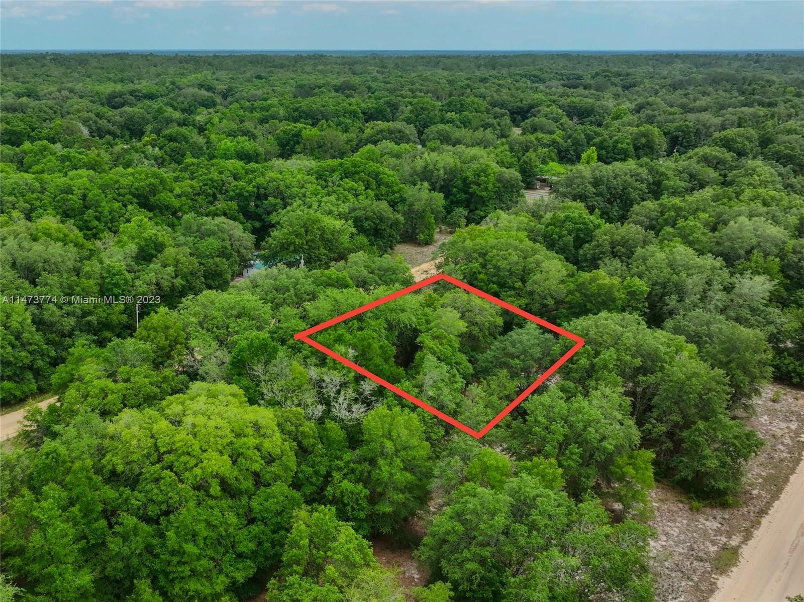 2305 Clifford St, Other City - In The State Of Florida FL 32148 photo 2