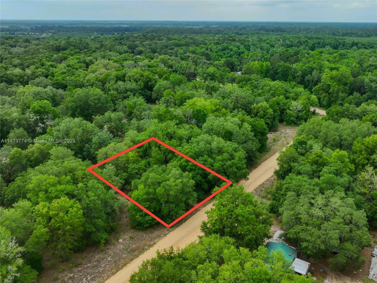 2305 Clifford St, Other City - In The State Of Florida FL 32148 photo 3