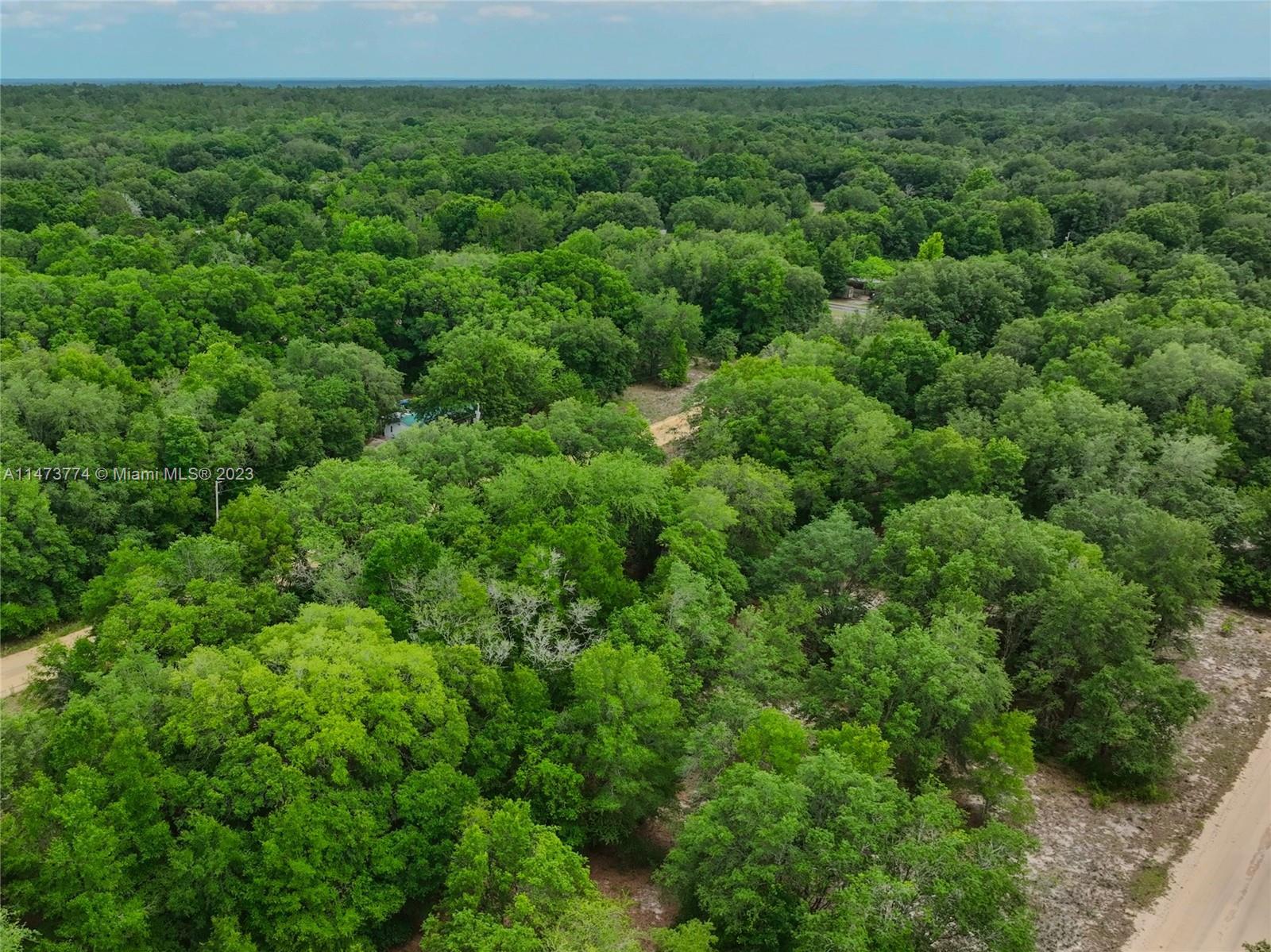 2305 Clifford St, Other City - In The State Of Florida FL 32148 photo 5