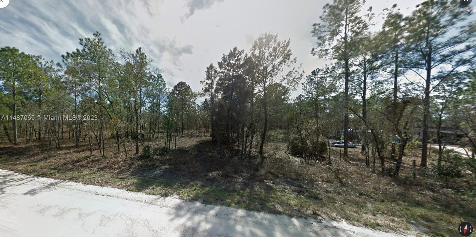 0 SE 6th, Williston FL 32696 photo 3