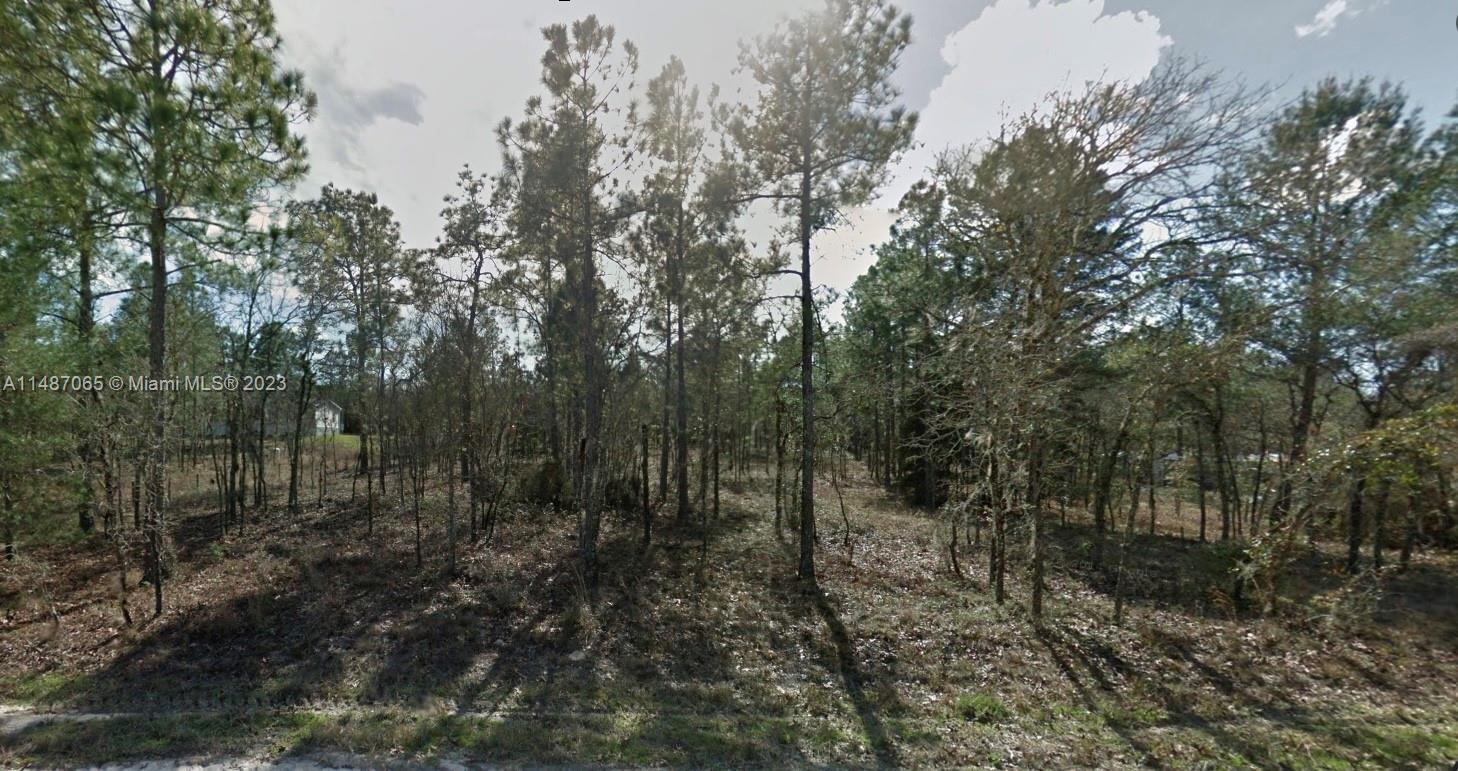 0 SE 6th, Williston FL 32696 photo 4