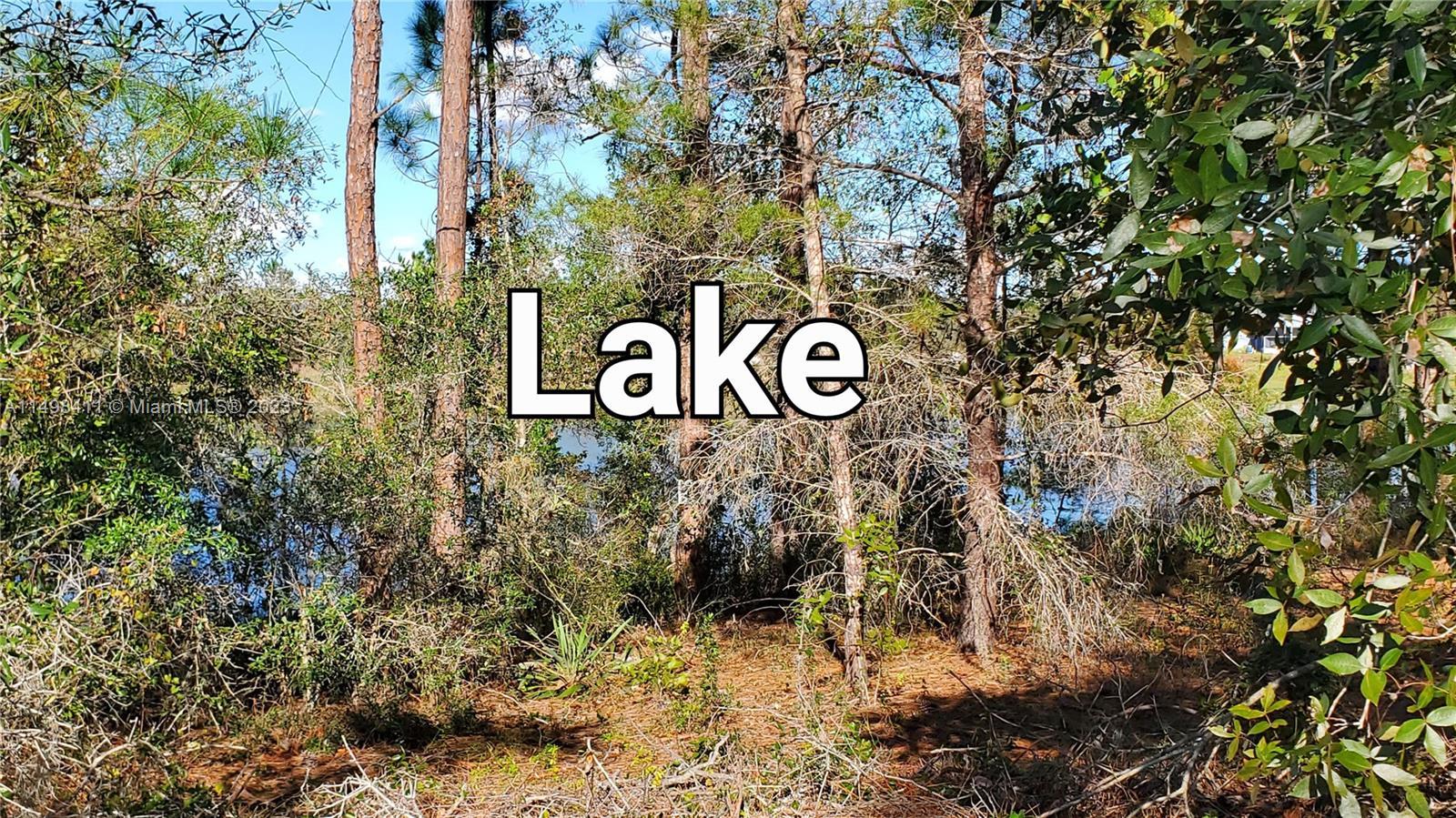 535 PURPLE FINCH Dr., Lake Placid FL 33852 photo 2