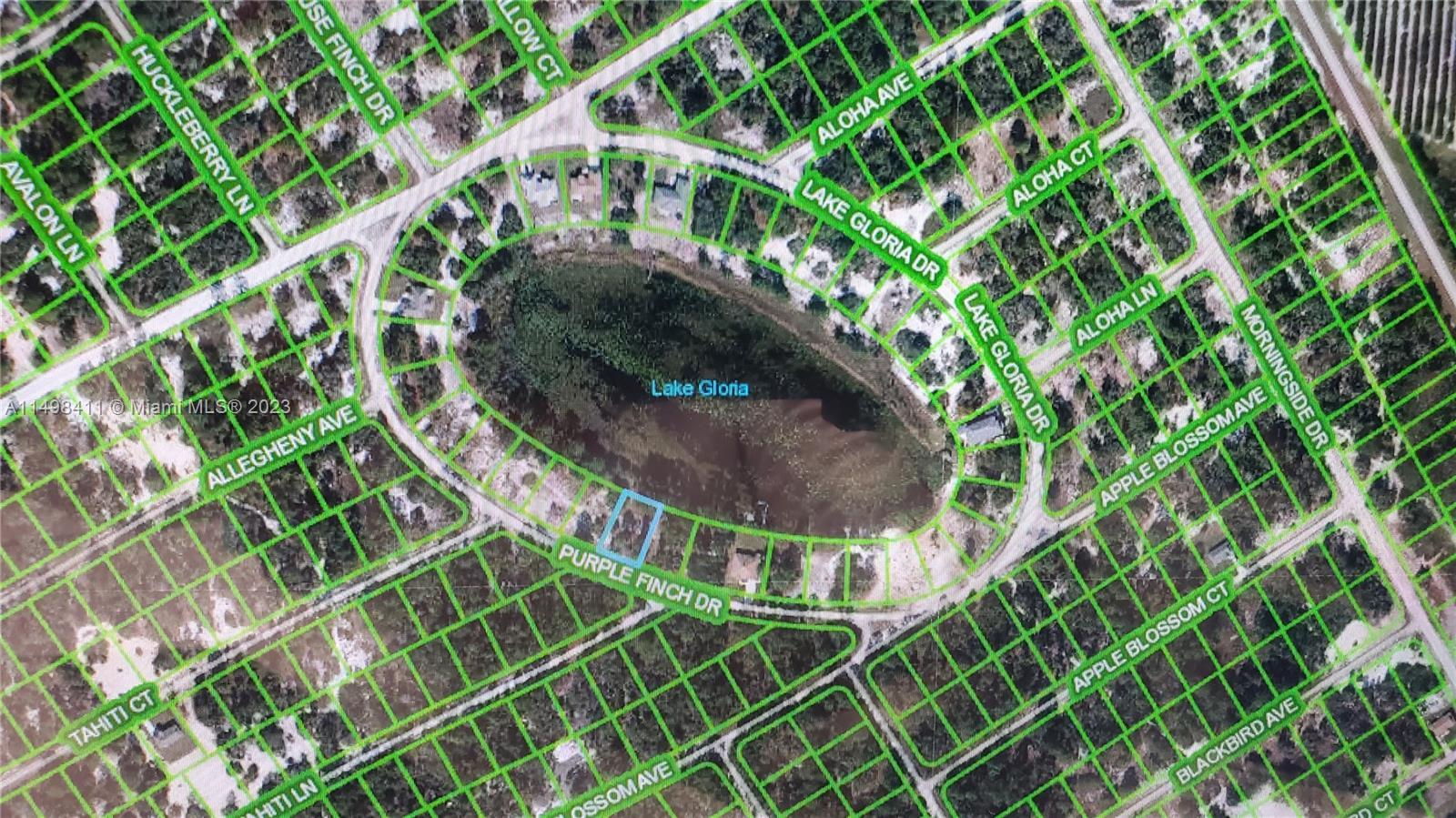 535 PURPLE FINCH Dr., Lake Placid FL 33852 photo 3