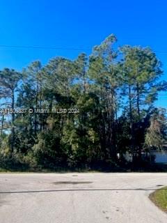 6 Bainbridge Lane, Palm Coast FL 32137