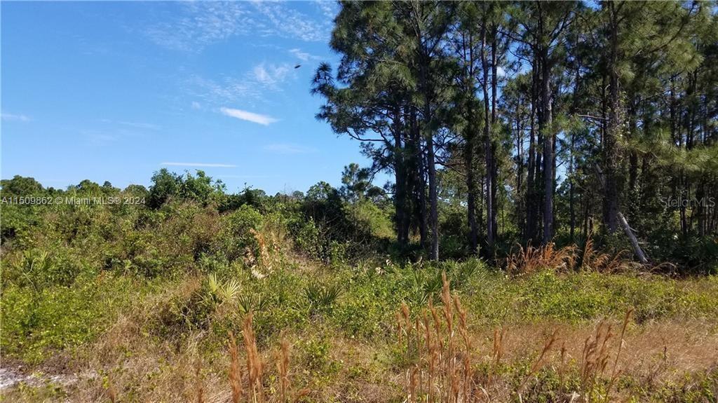Hawthorne Rd, Fort Pierce FL 34946 photo 3