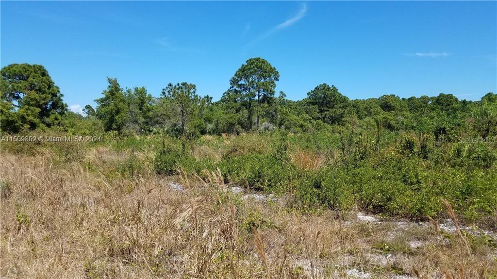 Hawthorne Rd, Fort Pierce FL 34946 photo 5
