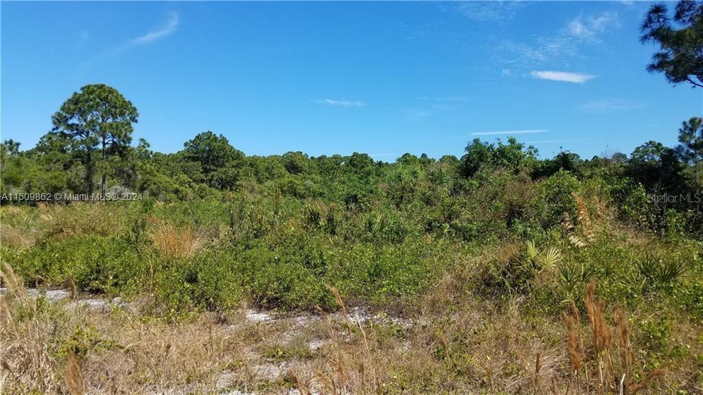 Hawthorne Rd, Fort Pierce FL 34946 photo 4