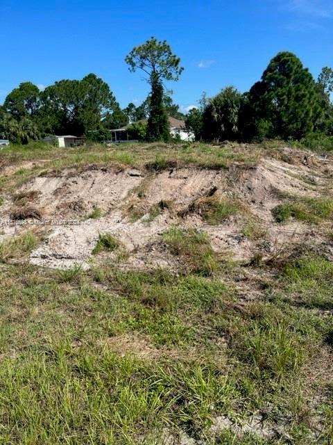 2900 33th St SW, Lehigh Acres FL 33976 photo 5