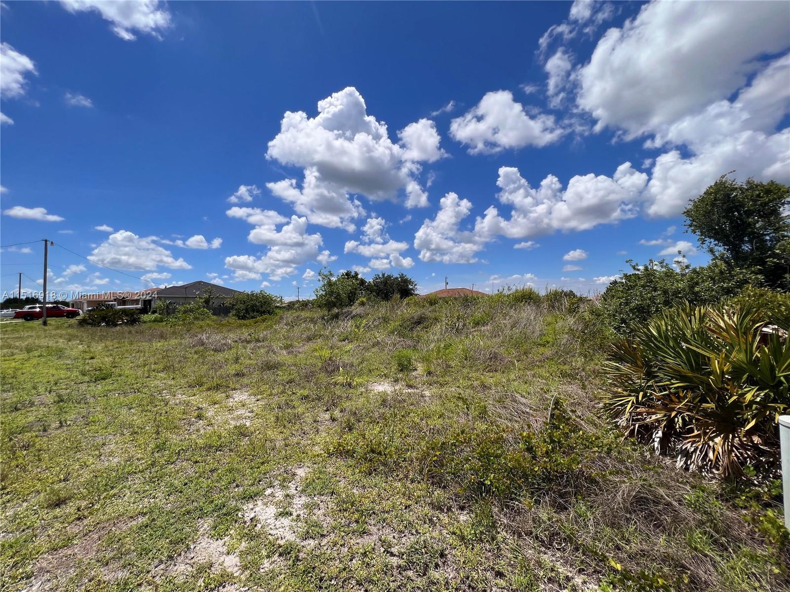 2910 26th St SW, Lehigh Acres FL 33976 photo 2