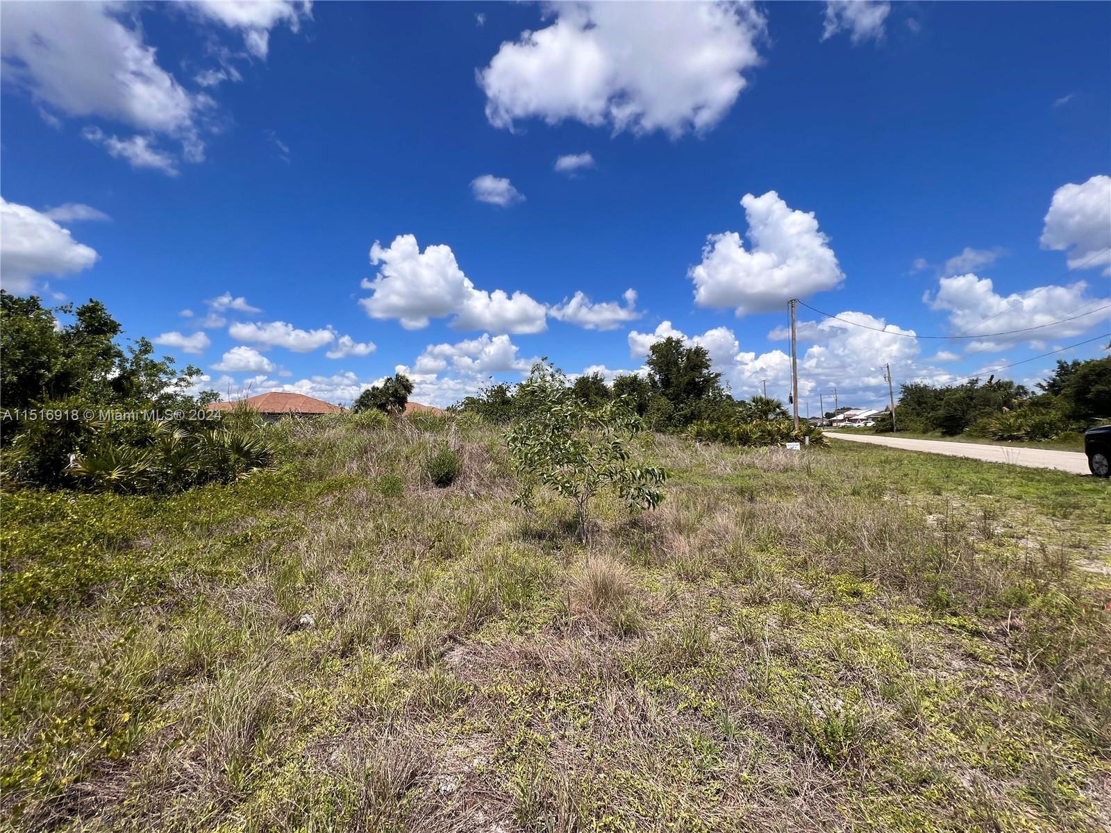 2910 26th St SW, Lehigh Acres FL 33976 photo 3