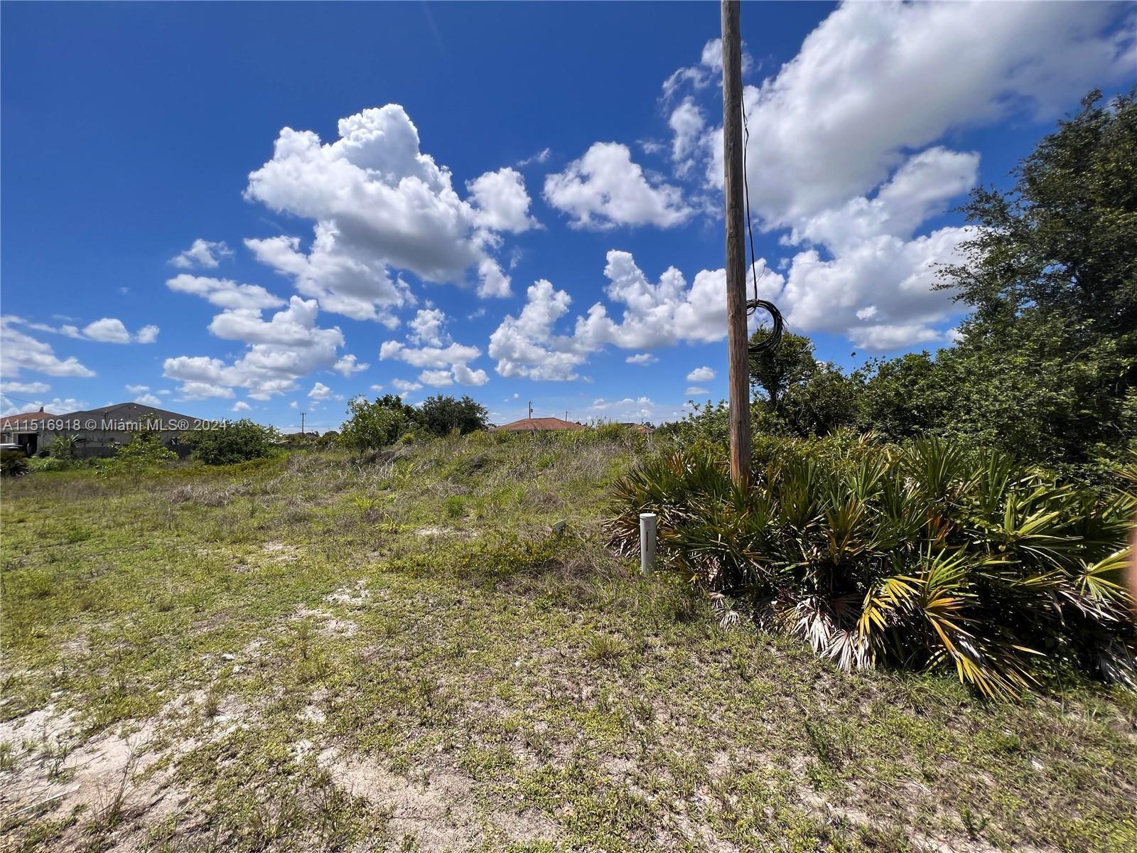 2910 26th St SW, Lehigh Acres FL 33976 photo 4