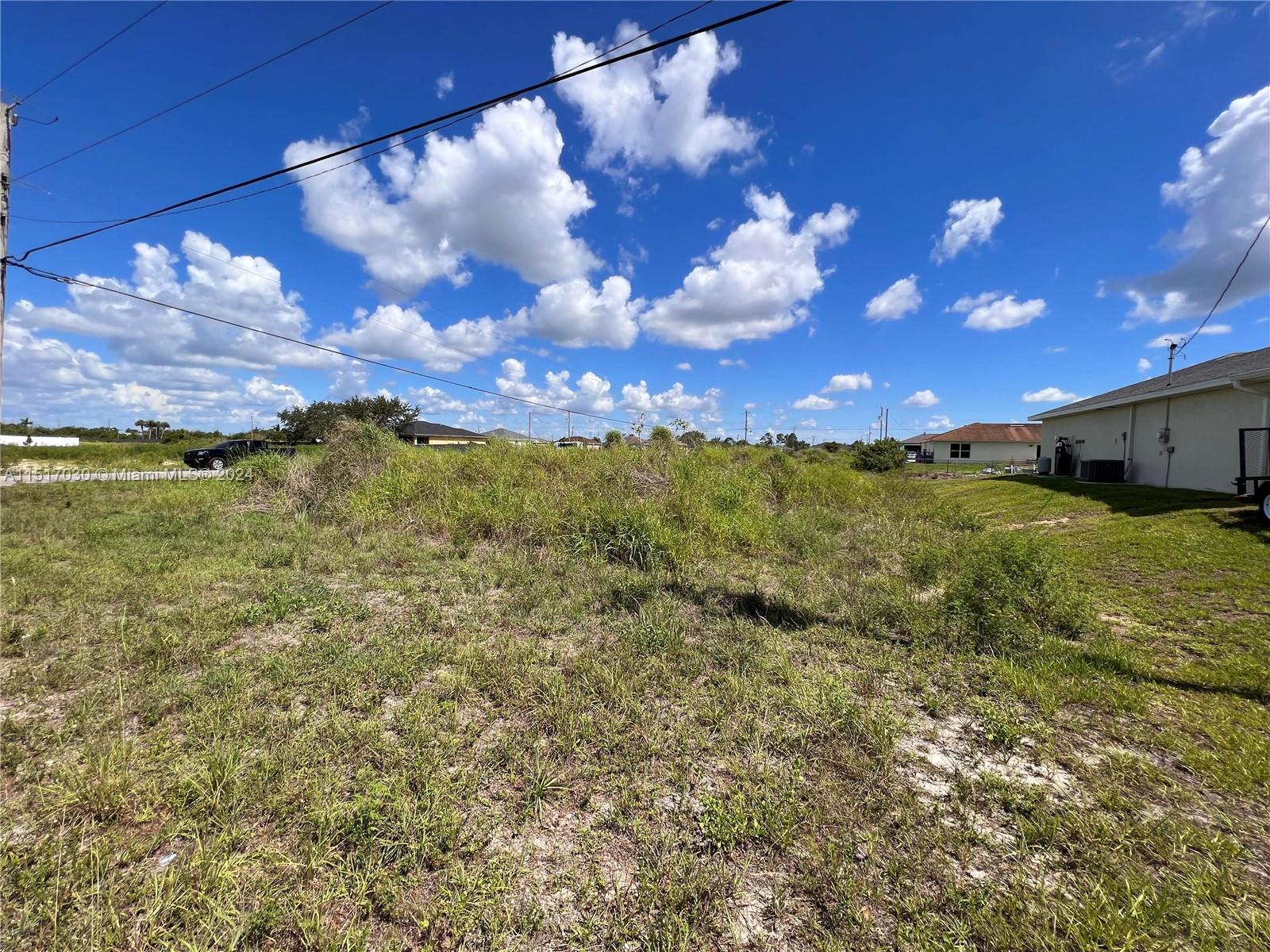 2915 19th St SW, Lehigh Acres FL 33976 photo 2