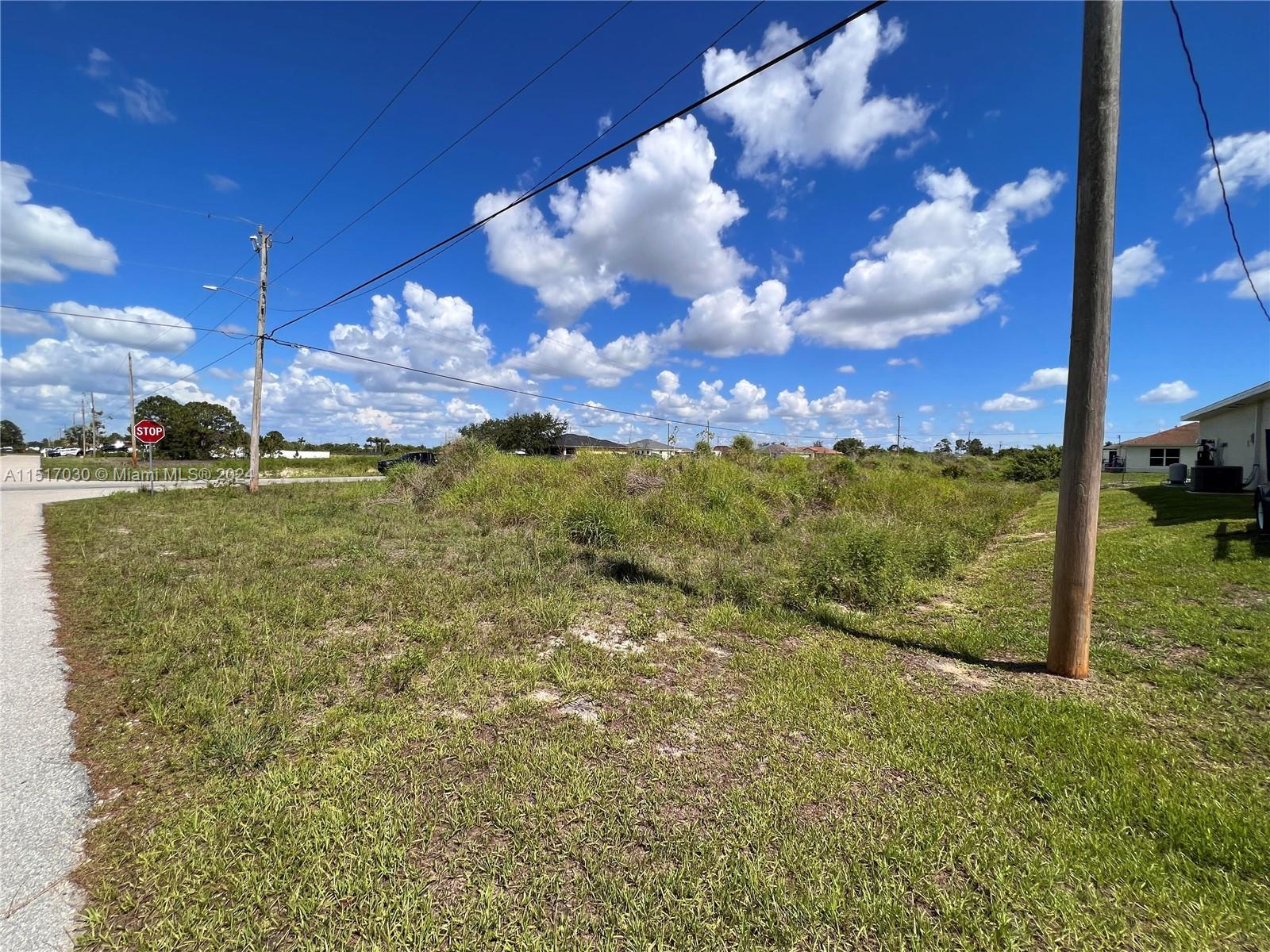 2915 19th St SW, Lehigh Acres FL 33976 photo 4