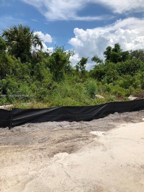 Lehigh Acres, FL 33976 photo 2