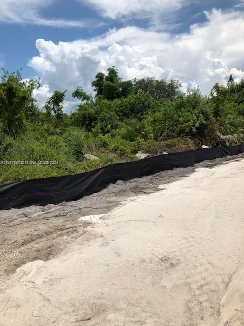 Lehigh Acres, FL 33976 photo 3