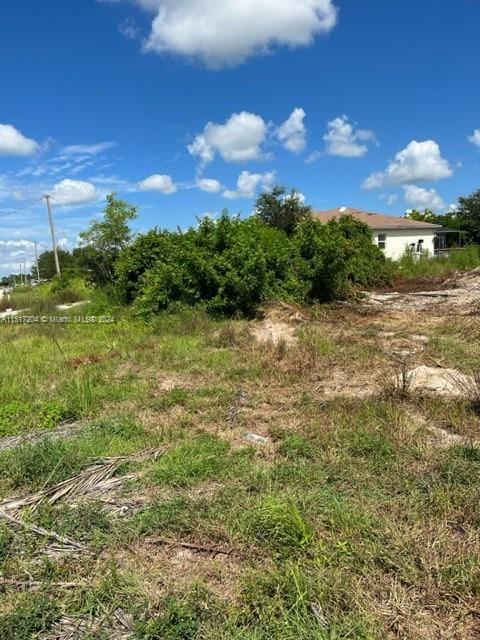3002 26th st SW, Lehigh Acres FL 33976 photo 2