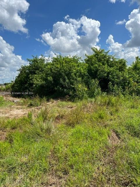 3002 26th st SW, Lehigh Acres FL 33976 photo 3