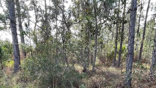 5 Lansing Lane, Palm Coast FL 32137