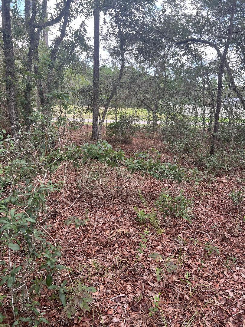 61** SW 144 Ln Rd, Ocala FL 34473 photo 2