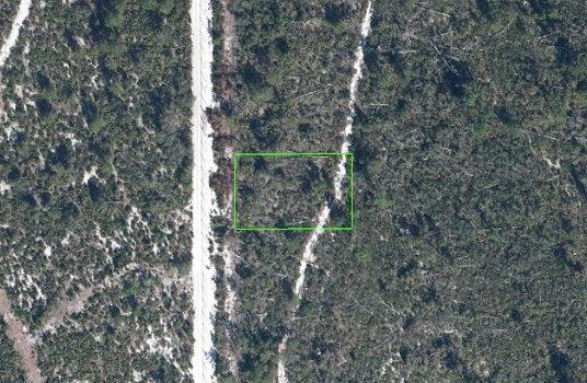 3289 Teakwood Drive, Sebring FL 33875