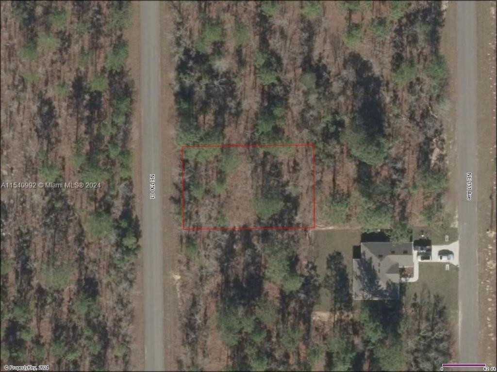Lot 14 NE 150th Ct, Williston FL 32696 photo 2