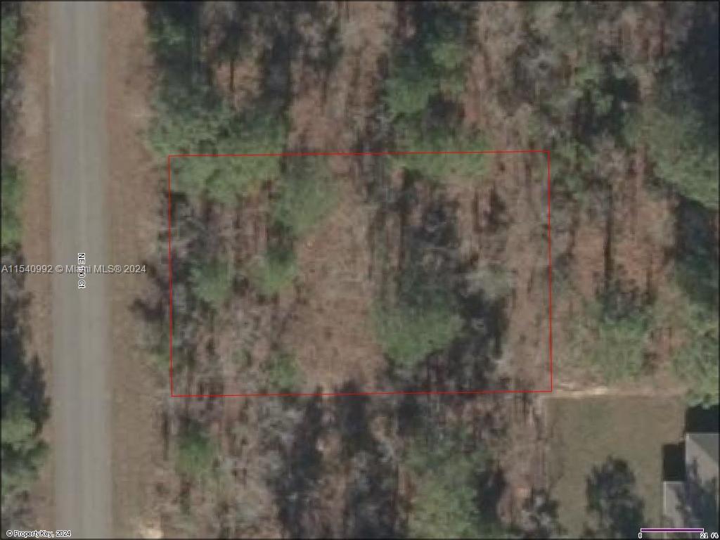 Lot 14 NE 150th Ct, Williston FL 32696