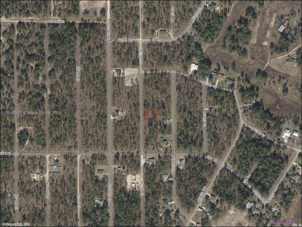 Lot 14 NE 150th Ct, Williston FL 32696 photo 5