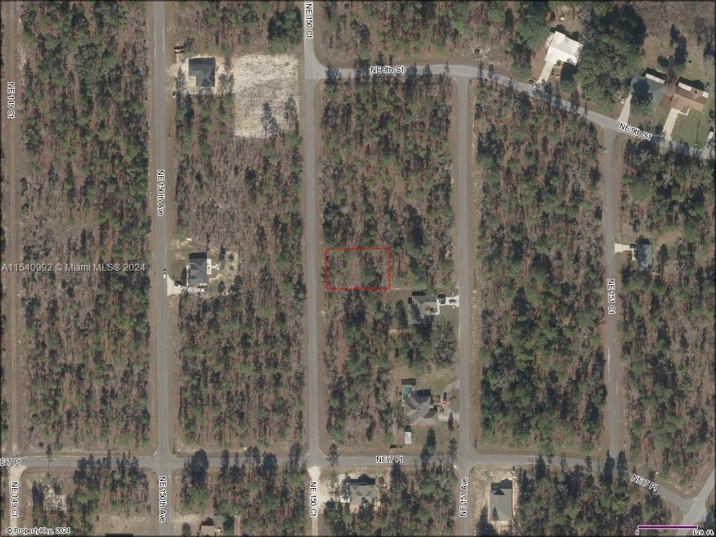 Lot 14 NE 150th Ct, Williston FL 32696 photo 4