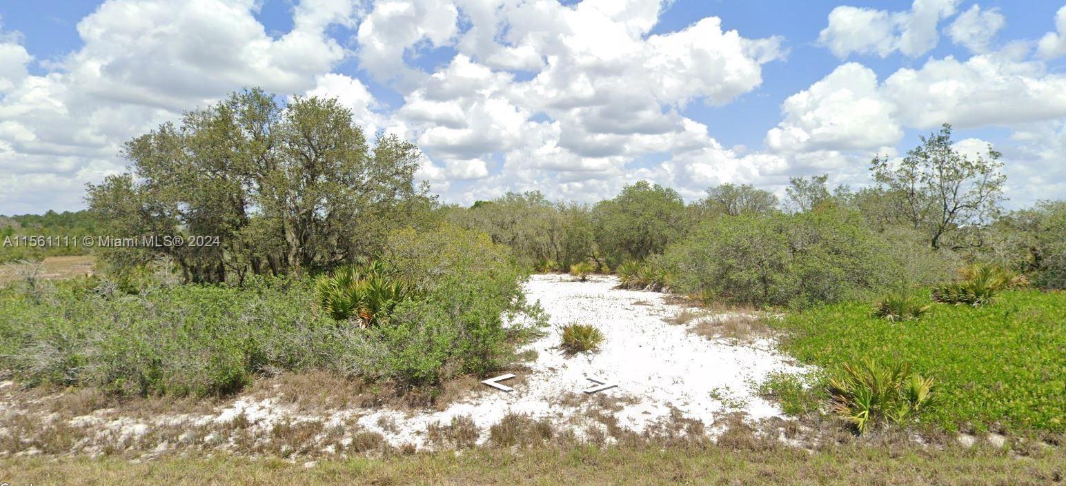 2524 W Reeves Rd, Avon Park FL 33825 photo 4