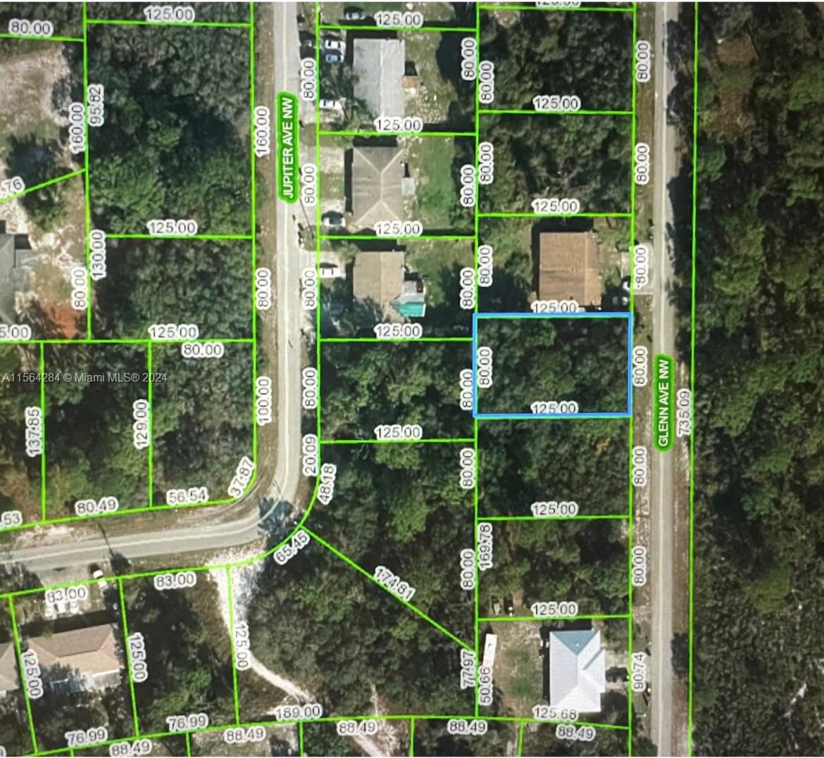 117 Glenn Ave NW, Lake Placid FL 33852