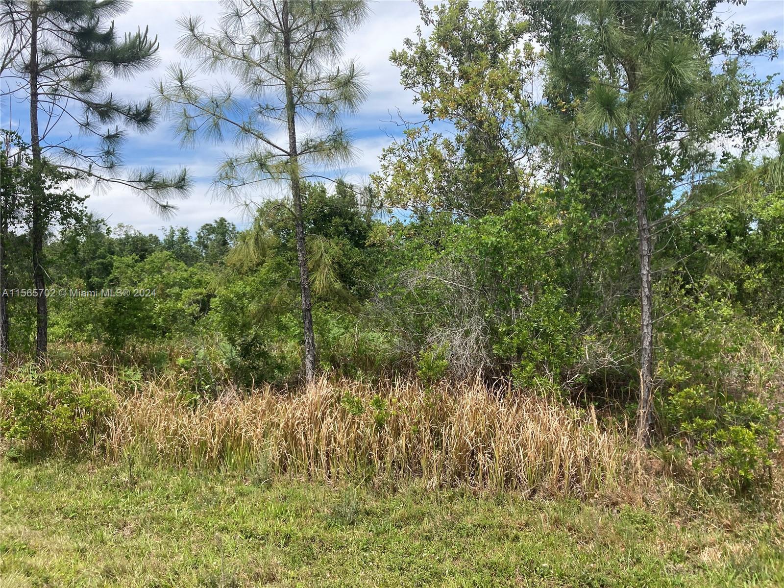 8125 DOMENICO ST, Sebring FL 33872