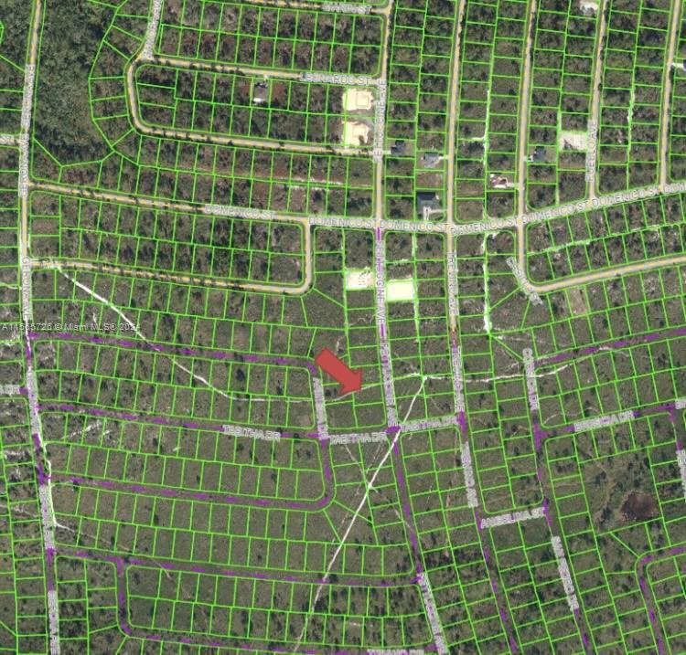 4815 FETTUCCINE AVE, Sebring FL 33872 photo 2