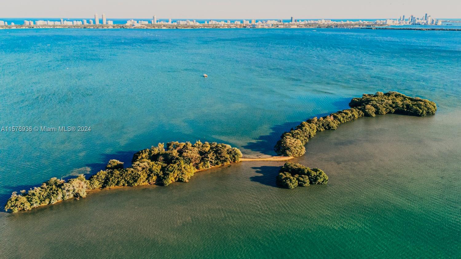 1 BIRD KEY, Miami FL 33138 photo 3