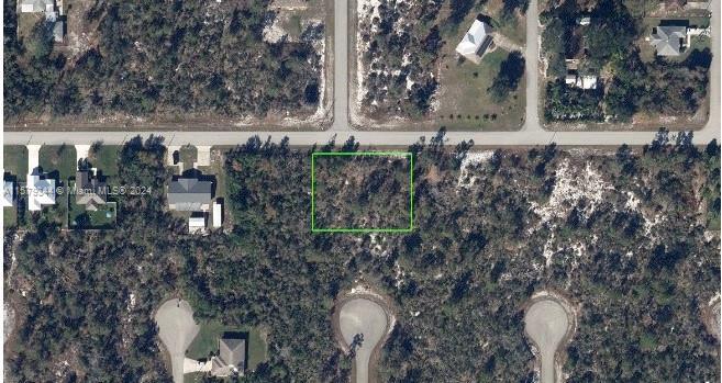 297 Lincoln RD NE, Lake Placid FL 33852 photo 2