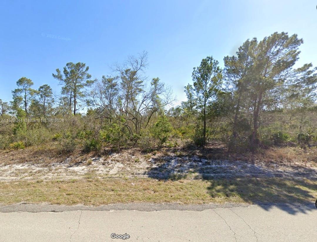 297 Lincoln RD NE, Lake Placid FL 33852 photo 3