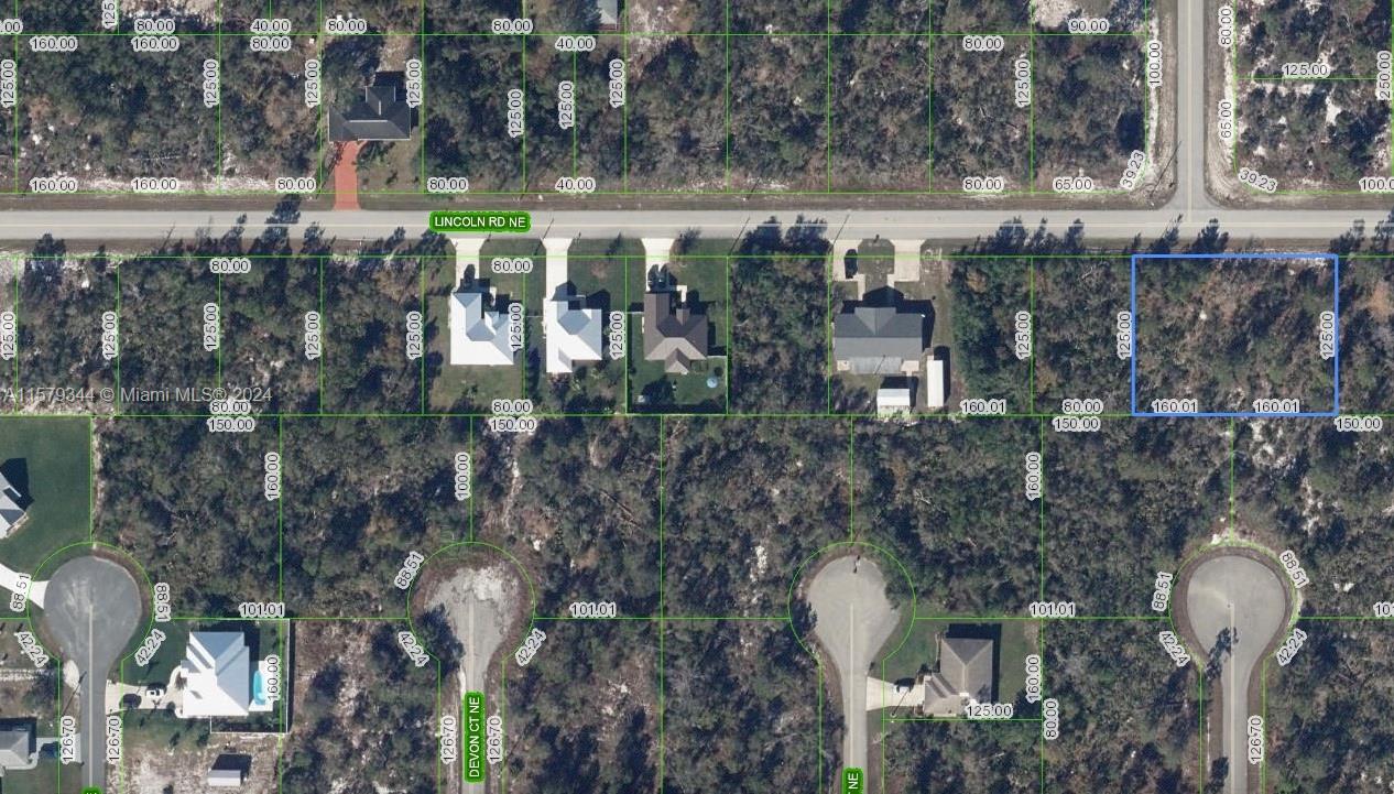 297 Lincoln RD NE, Lake Placid FL 33852