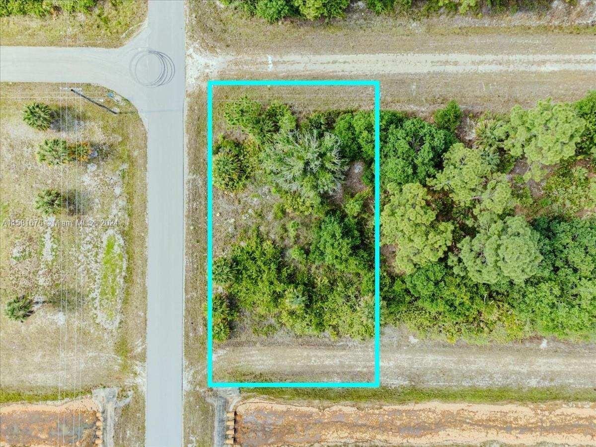 3113 39 ST W, Lehigh Acres FL 33971 photo 2