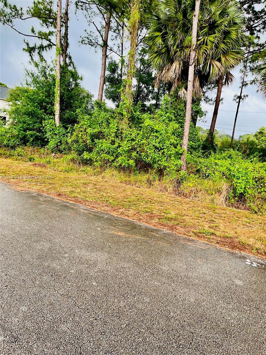 Other City - In The State Of Florida, FL 32909 photo 3