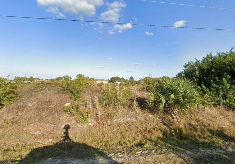 1141/1143 HIGHTOWER AVE S  LEHIGH ACRES FL, Lehigh Acres FL 33973