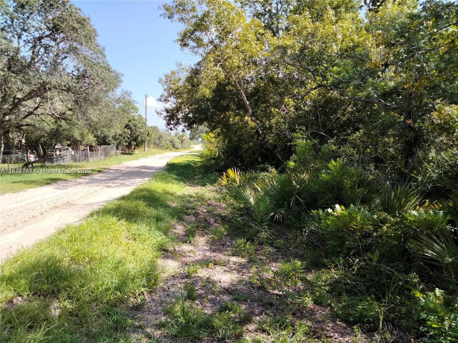 201 FAIRHILL STREET, Lake Placid FL 33852 photo 2