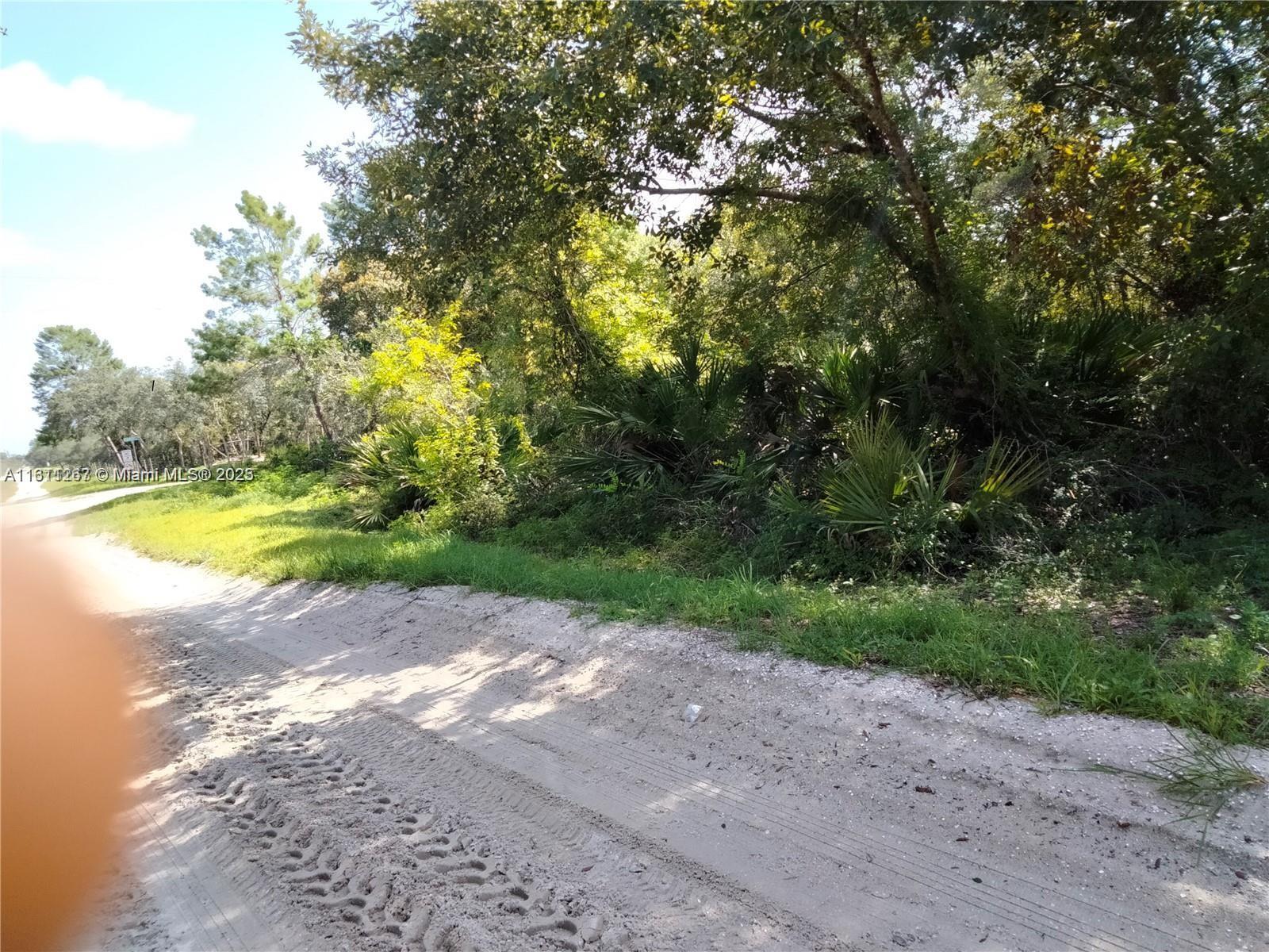 201 FAIRHILL STREET, Lake Placid FL 33852