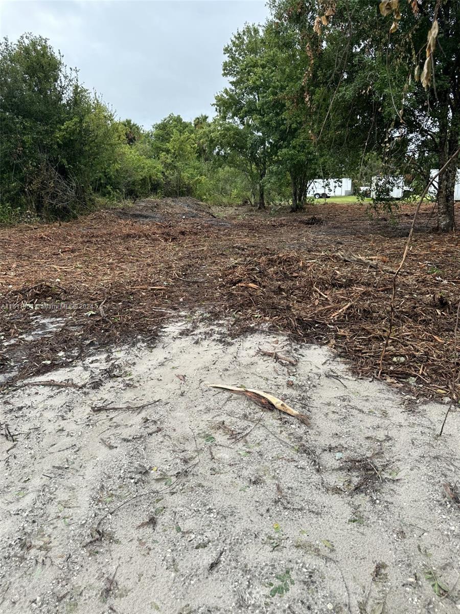 6460 SE 86th Blvd, Okeechobee FL 34974 photo 4