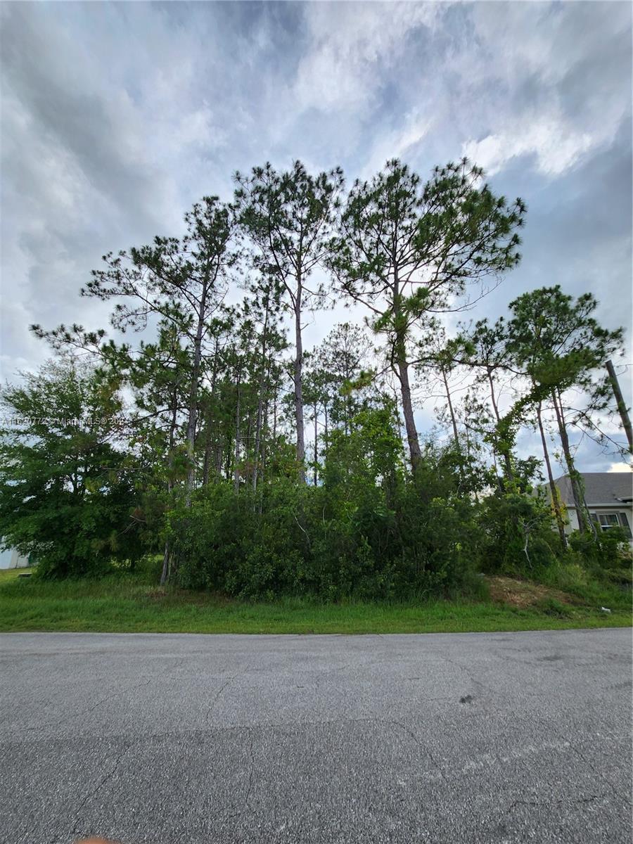 6 kalender ct, Palm Coast FL 32164 photo 3