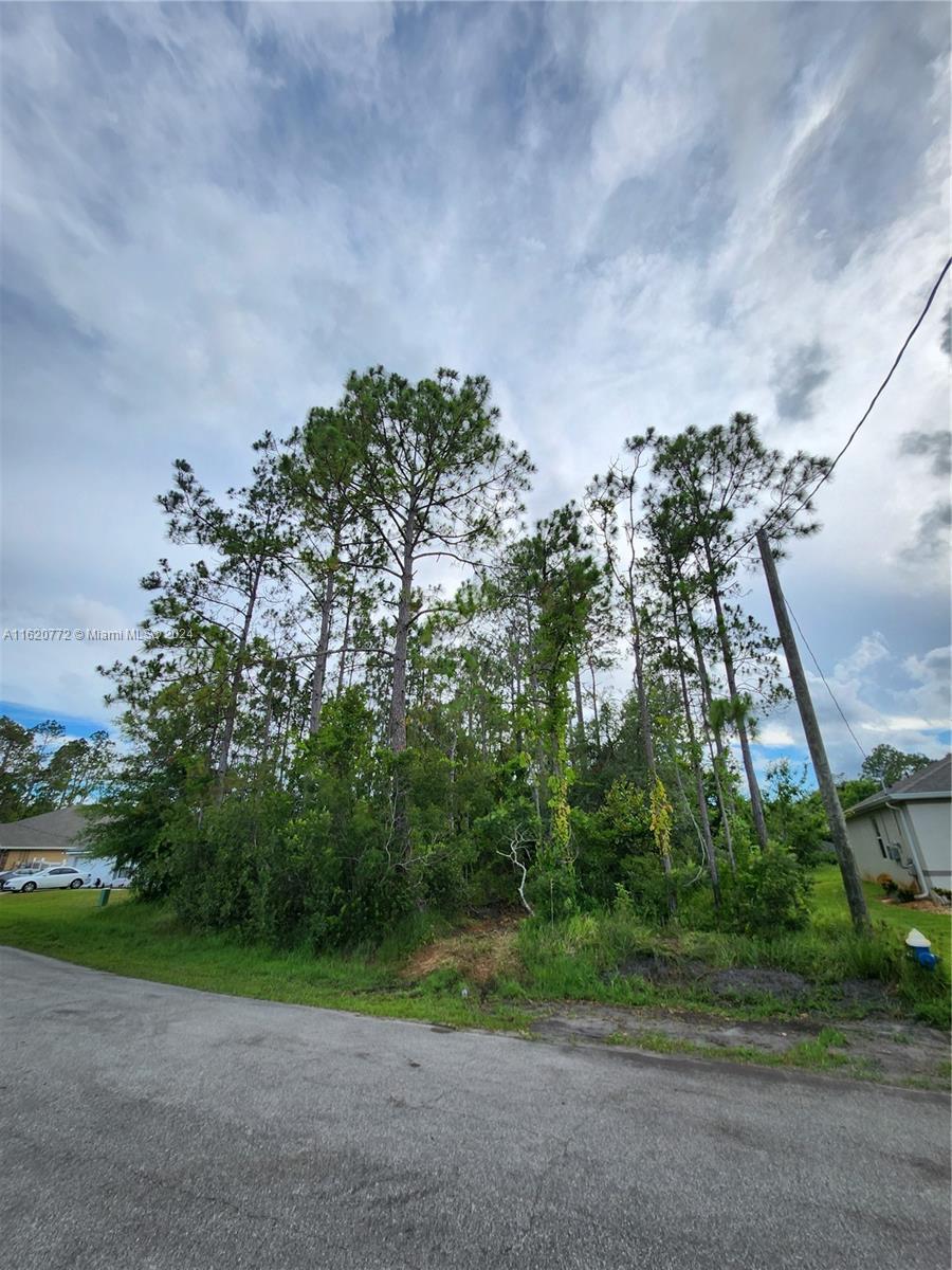 6 kalender ct, Palm Coast FL 32164 photo 4