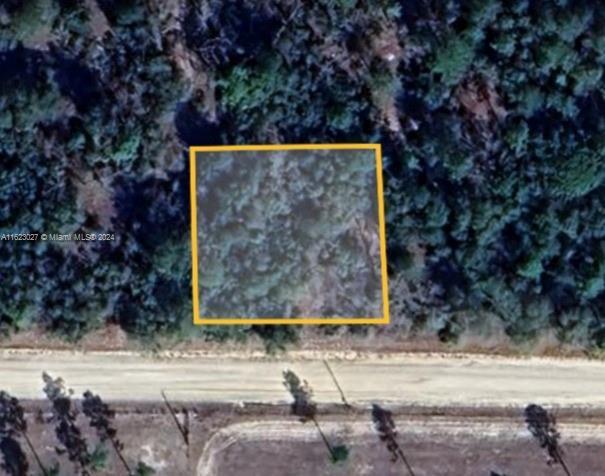 WILLISTON WILLISTON, Williston FL 32696 photo 2