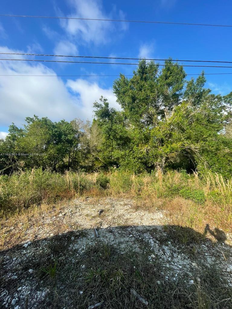 5225 NE 44TH ST, Naples FL 34120