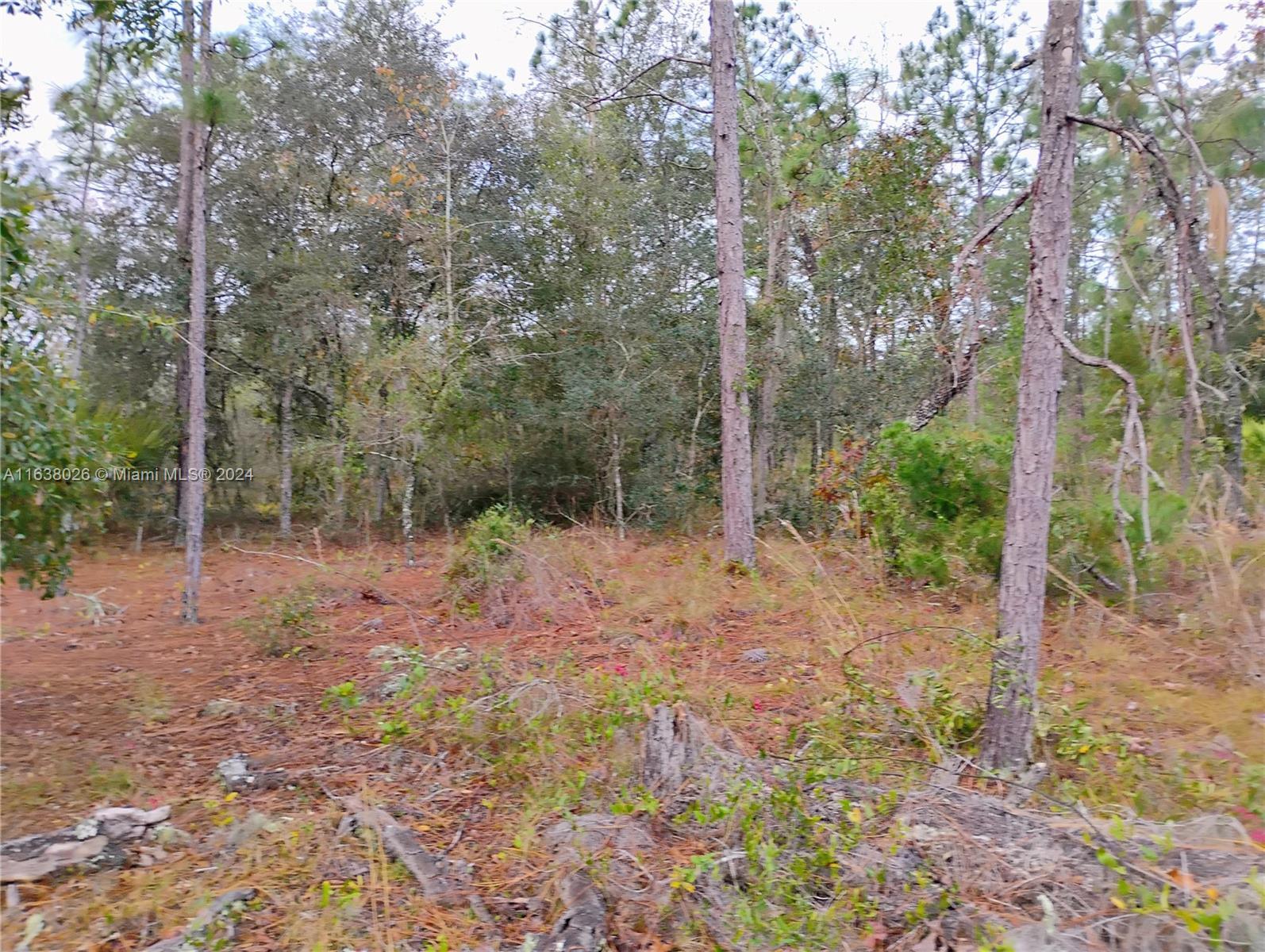 107 rome, Palatka FL 32148 photo 3