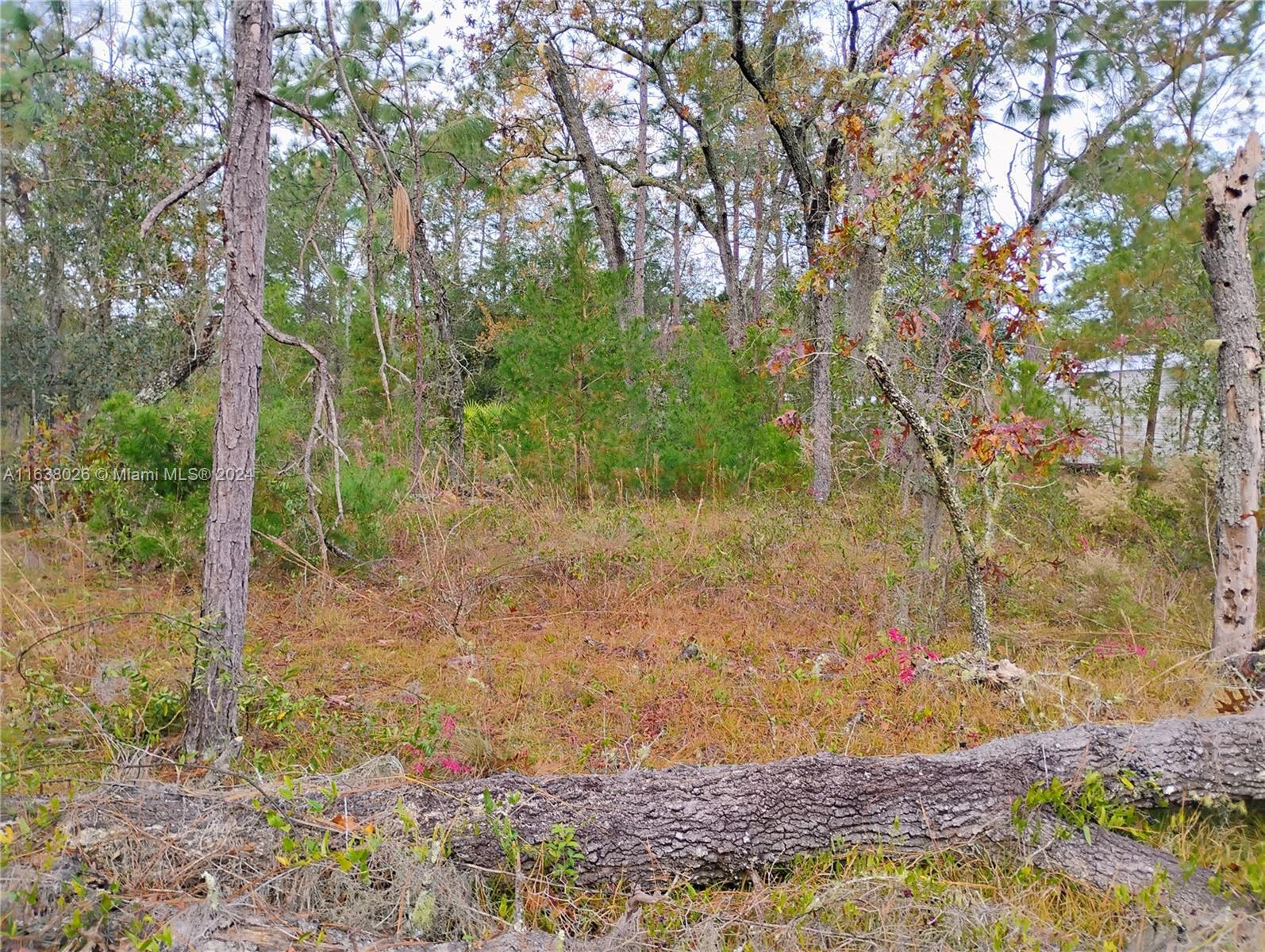 107 rome, Palatka FL 32148 photo 4