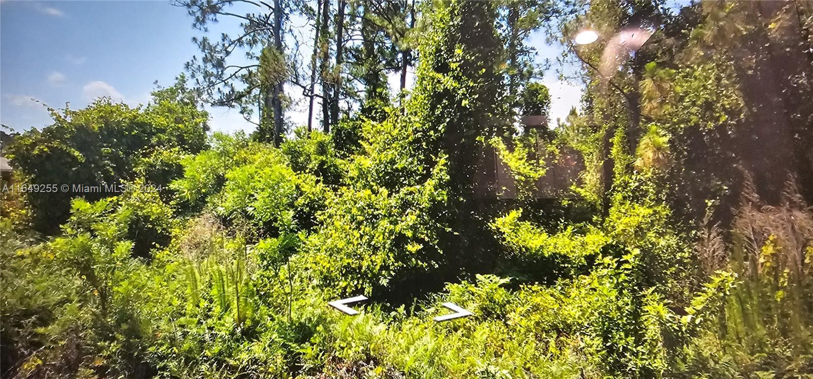 5701 EML, Sebring FL 33875